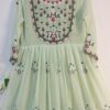 Light Green Hand Embroidery Anarkali Frock Suit