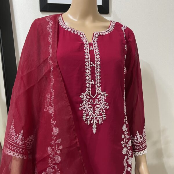 Pakistani Embroidered Palazzo Suit