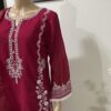 Beautiful Pakistani Outfit