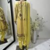 Beautiful Pakistani Outfit Mustard
