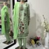 Beautiful Light Green Pakistani Outfit