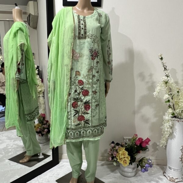 Beautiful Light Green Pakistani Outfit