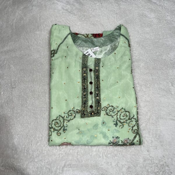 Pakistani Light Green Suit