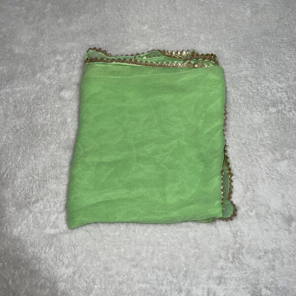 Pakistani Light Green Suit with Dupatta